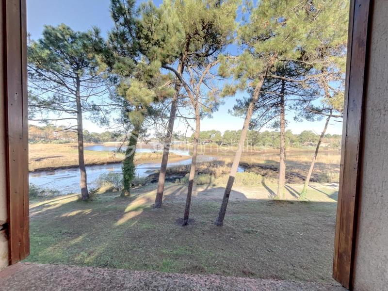 Duplex - 60 m² - 3 pièces