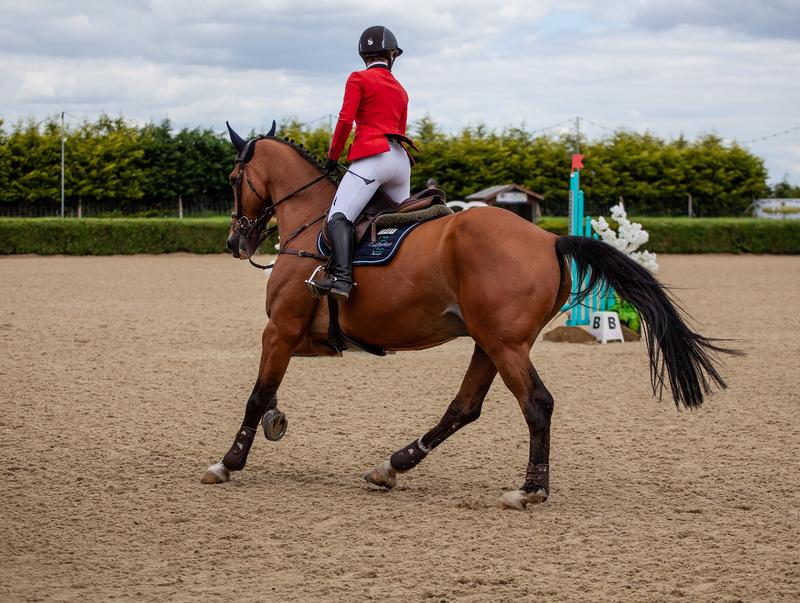 Concours de Saut d'Obstacles - Aceva