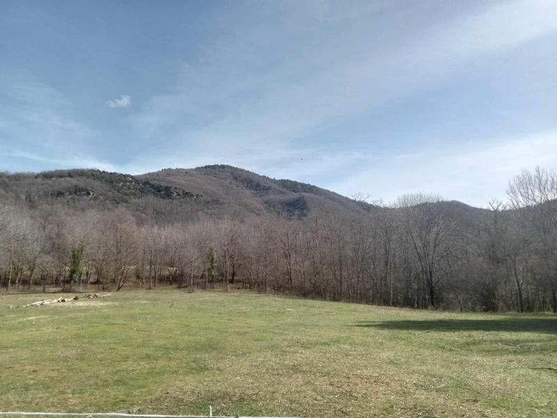 Maison - 275 m² - 9 pièces