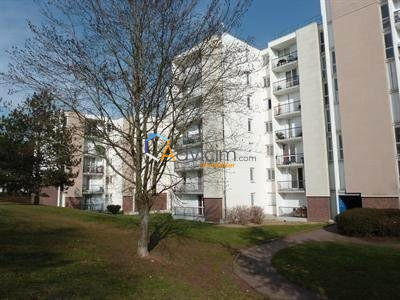 Appartement - 55 m² - 2 pièces