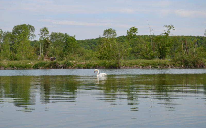 Ecorando à Vert-en-Drouais