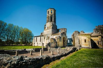 Chambre - 26 m² - 1 pièce