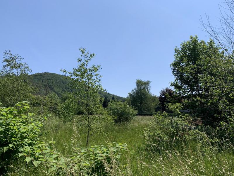 Terrain - 1 142 m²