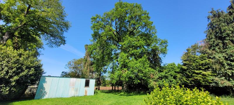 Maison - 113 m² - 5 pièces