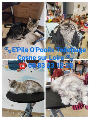 Salon Toilettage E'Pile O'Pooils