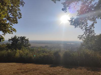 Terrain constructible - 2 000 m²