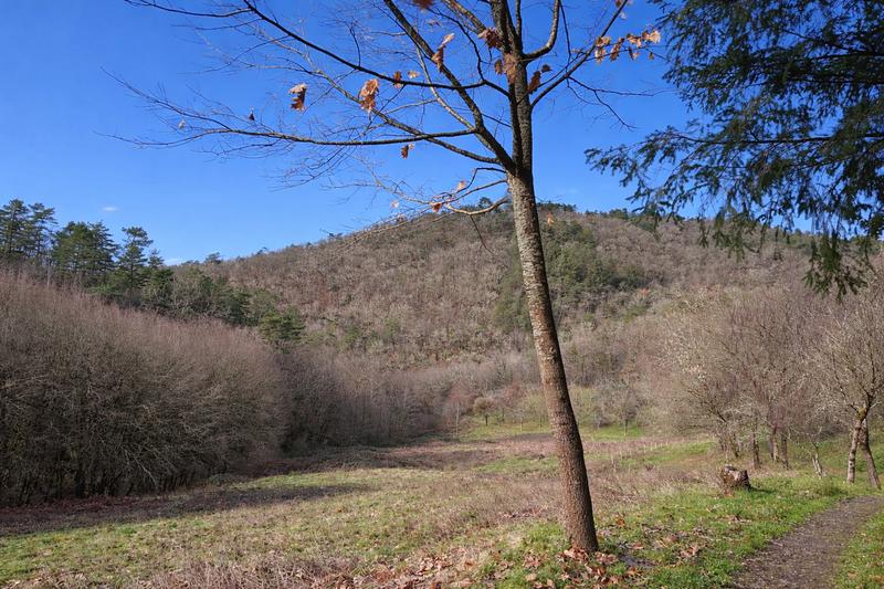 Propriété - 114 m² - 5 pièces