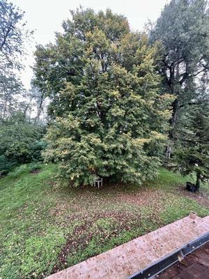 Maison - 177 m² - 6 pièces