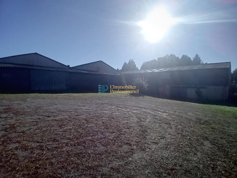 Local d'activités - 3 030 m²