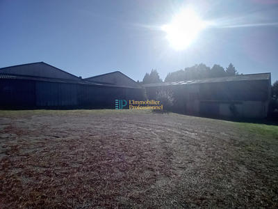 Local d'activités - 3 030 m²