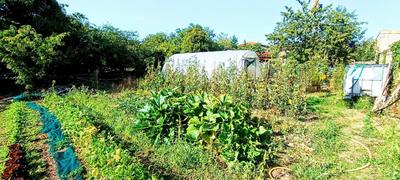 Maison ancienne - 56 m² - 3 pièces