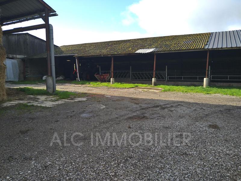 Ferme - 145 m² - 5 pièces