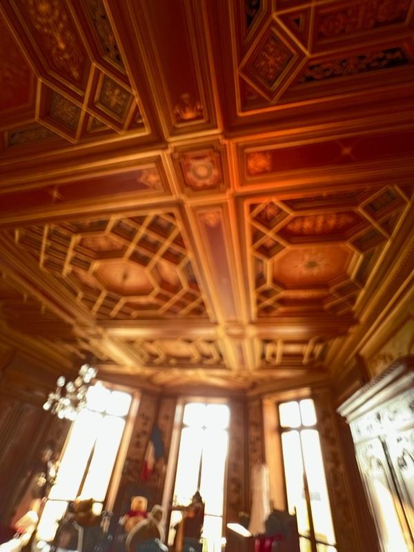 Manoir - 1 000 m² - 14 pièces