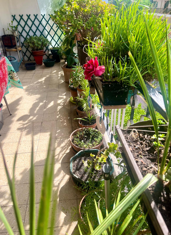 Appartement - 91 m² - 4 pièces