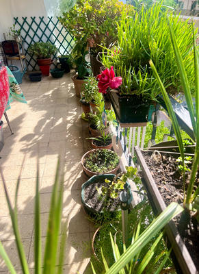 Appartement - 91 m² - 4 pièces