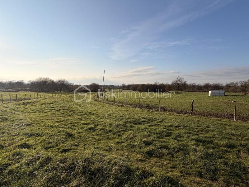 Maison de domaine équestre - 155 m² - 7 pièces