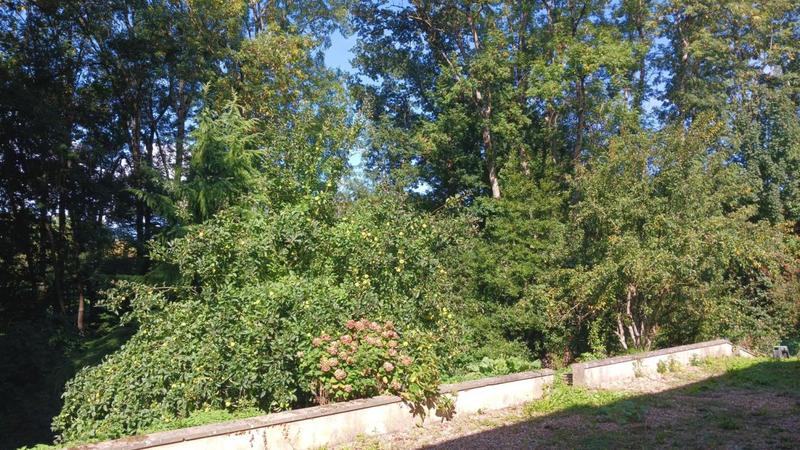 Maison d'architecte - 228 m² - 9 pièces