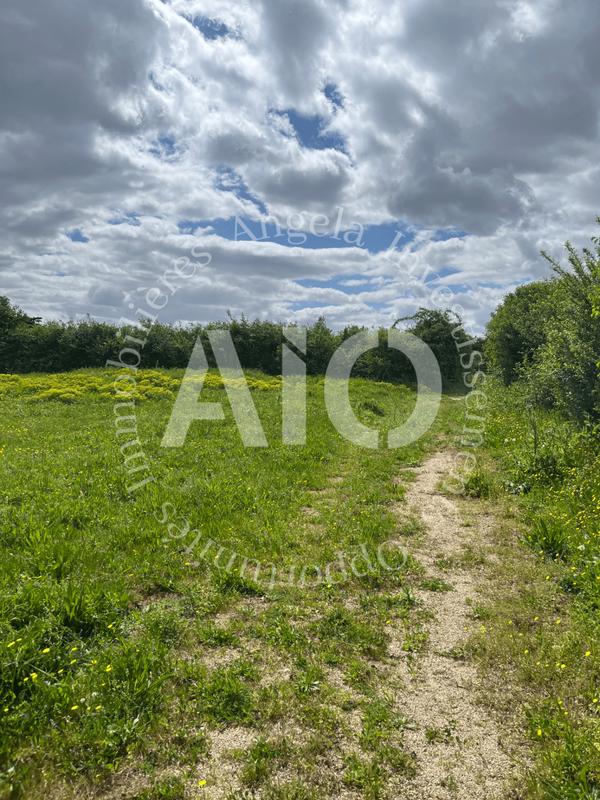 Terrain de loisirs - 30 000 m²