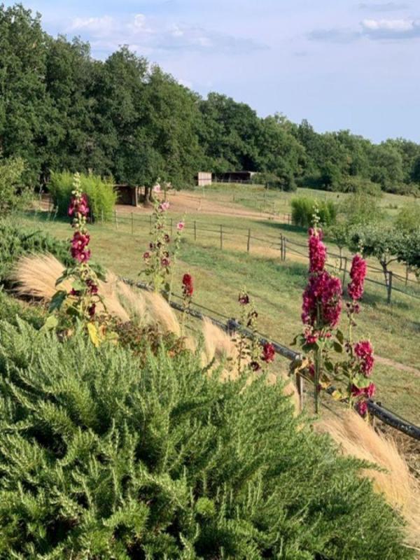 Propriété - 225 m² - 7 pièces