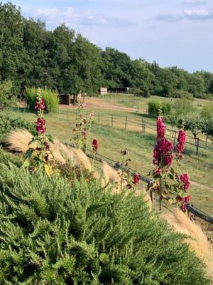 Propriété - 225 m² - 7 pièces