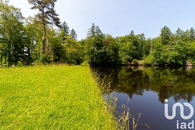 Terrain - 39 973 m²