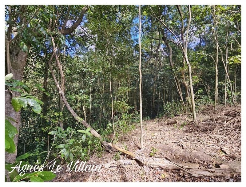 Terrain constructible - 3 123 m²