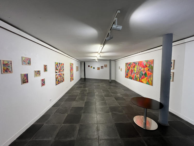 Local commercial - 487 m² - 2 pièces