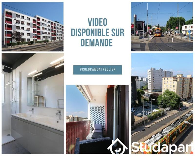 Chambre - 11 m² - 1 pièce