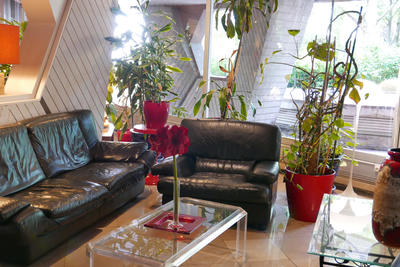 Appartement - 36 m² - 1 pièce