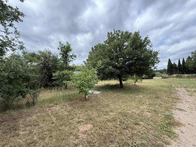 Terrain de loisirs - 5 000 m²