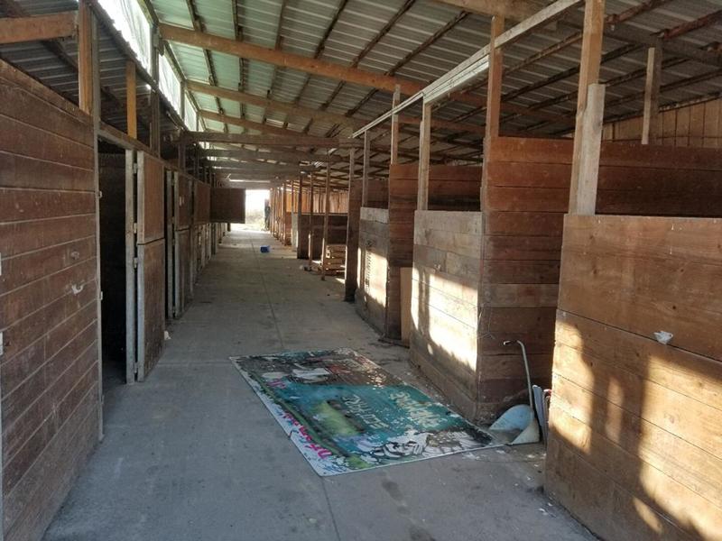 Local d'activité / Entrepôt - 600 m²