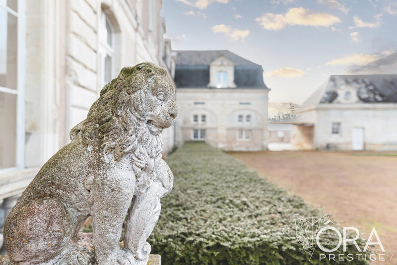 Château - 644 m² - 32 pièces