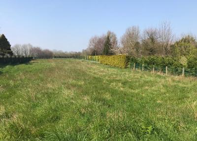 Terrain constructible - 946 m²