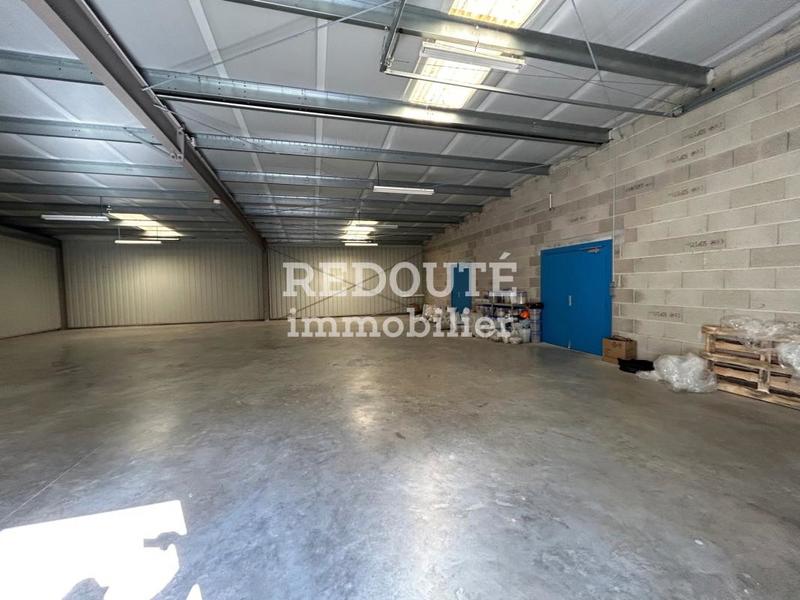 Entrepôt - 375 m² - 5 pièces