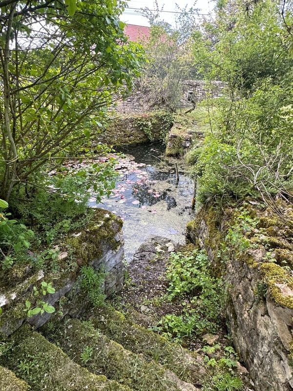 Propriété - 290 m² - 12 pièces