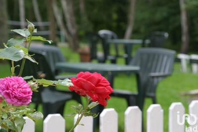 Local commercial - 950 m²