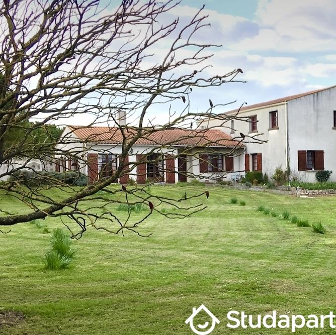 Chambre - 15 m² - 1 pièce