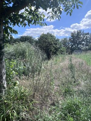 Terrain constructible - 579 m²