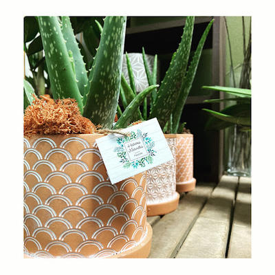 Histoires Naturelles