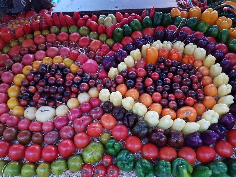 Marché traditionnel d'Aiguillon