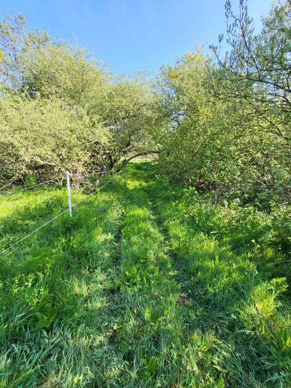 Hangar - 520 m² - 1 pièce