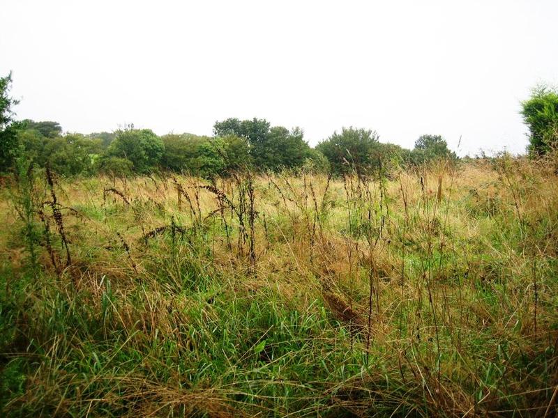 Terrain constructible - 800 m²