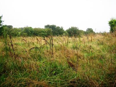 Terrain constructible - 800 m²