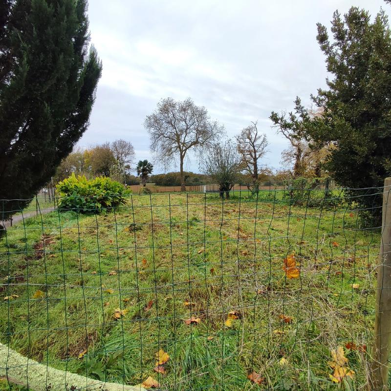 Maison ancienne - 143 m² - 5 pièces