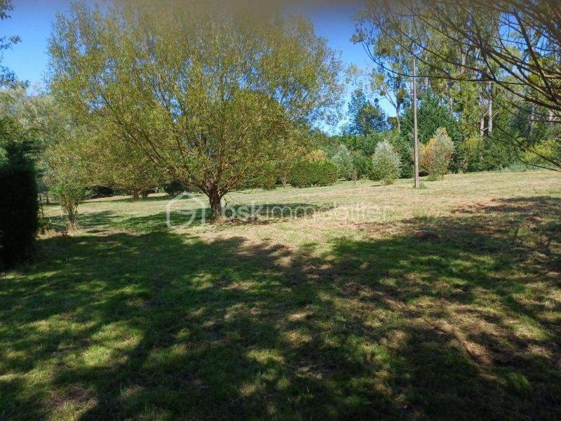 Terrain de loisirs - 8 163 m²