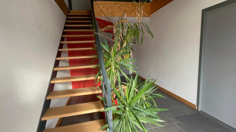 Local commercial - 1 083 m² - 8 pièces