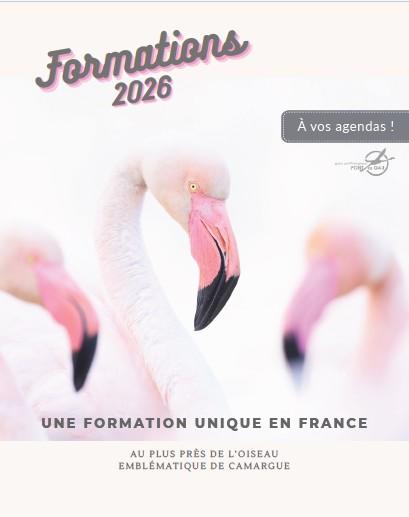 Formation Flamant Rose