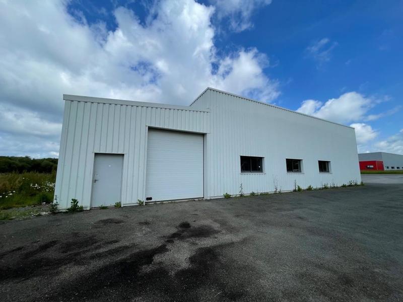 Local d'activité / Entrepôt - 580 m²