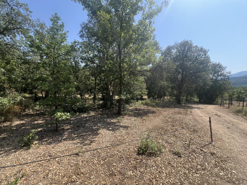 Terrain de loisirs - 10 100 m²