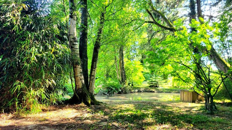 Demeure - 263 m² - 10 pièces